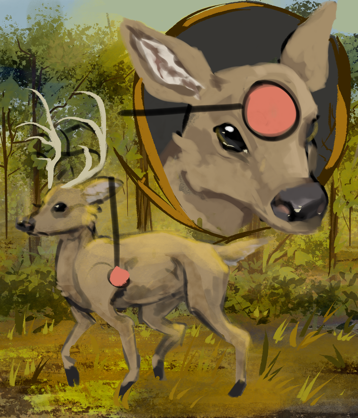 White Tail Deer early concept - too cute and stylized